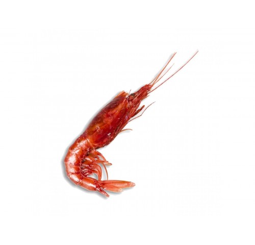 GAMBERO ROSSO MEDIO X3 KG