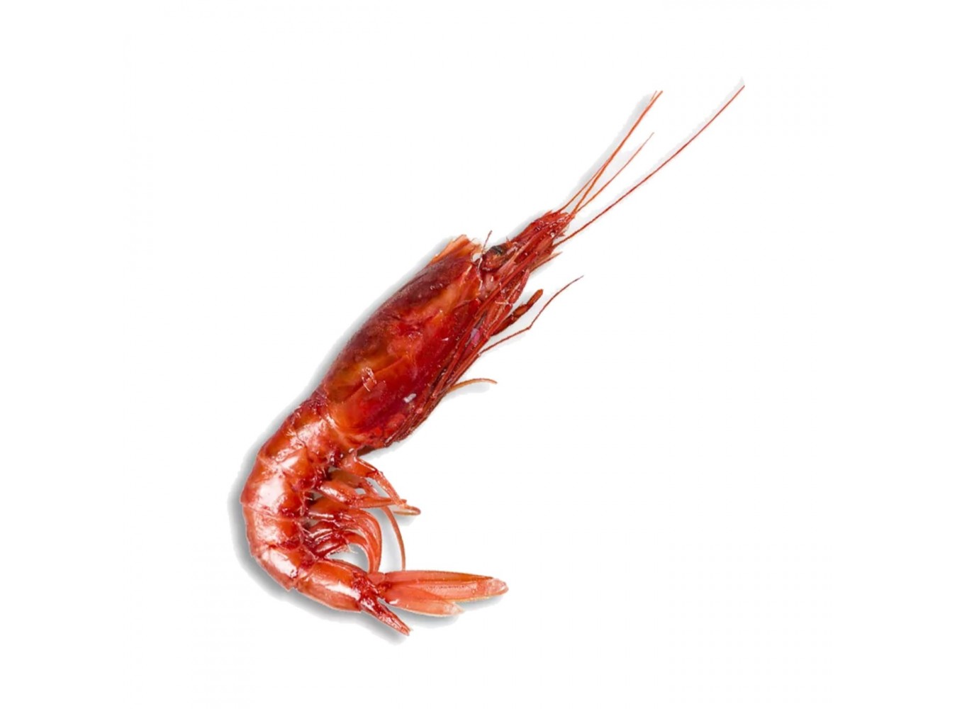 GAMBERO ROSSO MEDIO X3 KG