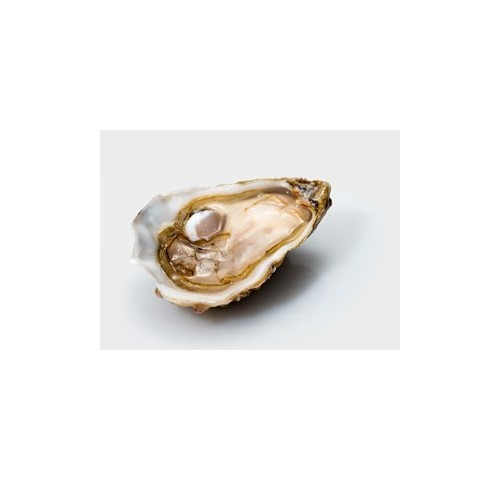 OSTRICA SPEC.MAMER SARDEGNA N3 2,5KG 24P