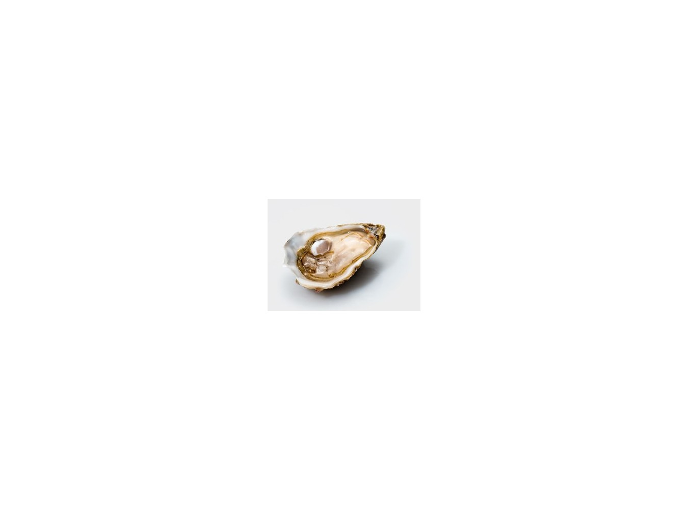 OSTRICA SPEC.MAMER SARDEGNA N3 2,5KG 24P