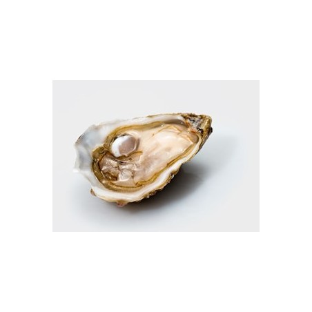 OSTRICA SPEC.MAMER SARDEGNA N3 2,5KG 24P