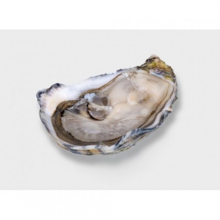 OSTRICA SPEC. MERVEILLE N2 12PZ - 1,25KG