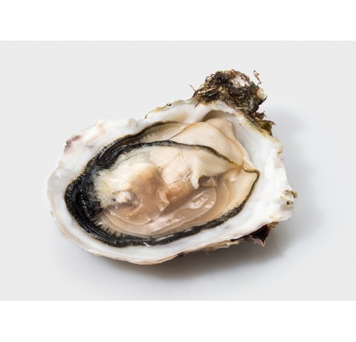 OSTRICA SPEC. PRESTIGE DES MERS N3 24PZ