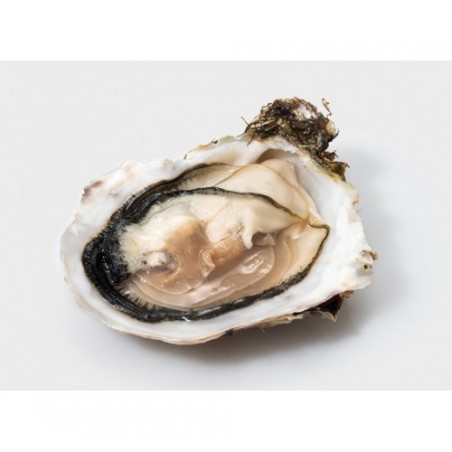 OSTRICA SPEC. PRESTIGE DES MERS N3 24PZ