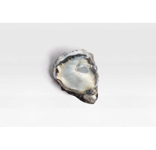 OSTRICA SPECIALE CAMARGUE N3 36PZ - 3KG
