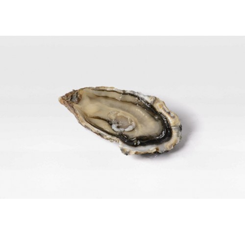 OSTRICA SPECIALE ISIGNY N3 2KG 24PZ