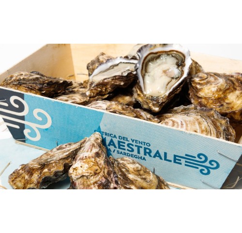 OSTRICA SPECIALE MAESTRALE N3 24PZ 2,25K