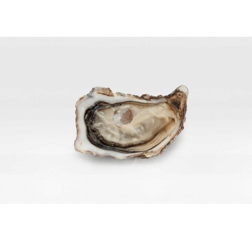 OSTRICA SPECIALE MUIRGEN N3 36PZ 3KG