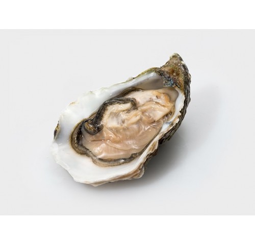 OSTRICA SPECIALE NORMANDIA N 3 12 PZ 1KG