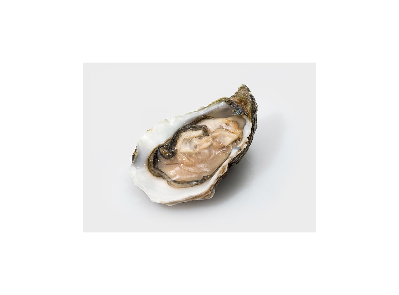 OSTRICA SPECIALE NORMANDIA N 3 12 PZ 1KG