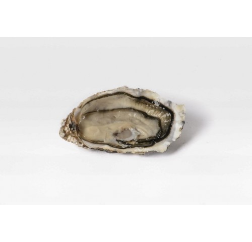 OSTRICA SPECIALE ST VAAST N3 6PZ - 3KG