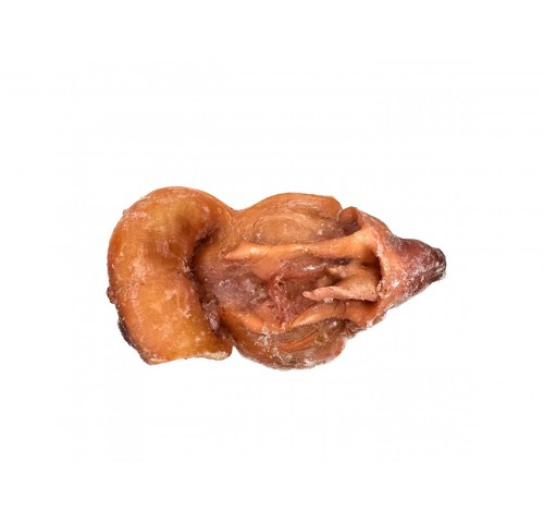 POLIPI TESTE COTTE IQF         CT1X7KG