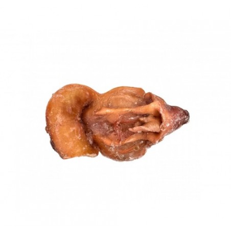 POLIPI TESTE COTTE IQF         CT1X7KG