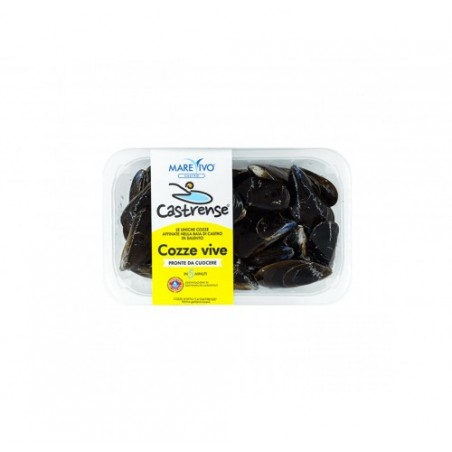 COZZA CASTRENSE VASCHETTA ATM PZ4X1KG