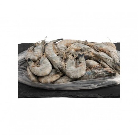 MAZZANCOLLE BLU 21/25 C/G        PZ6X1KG