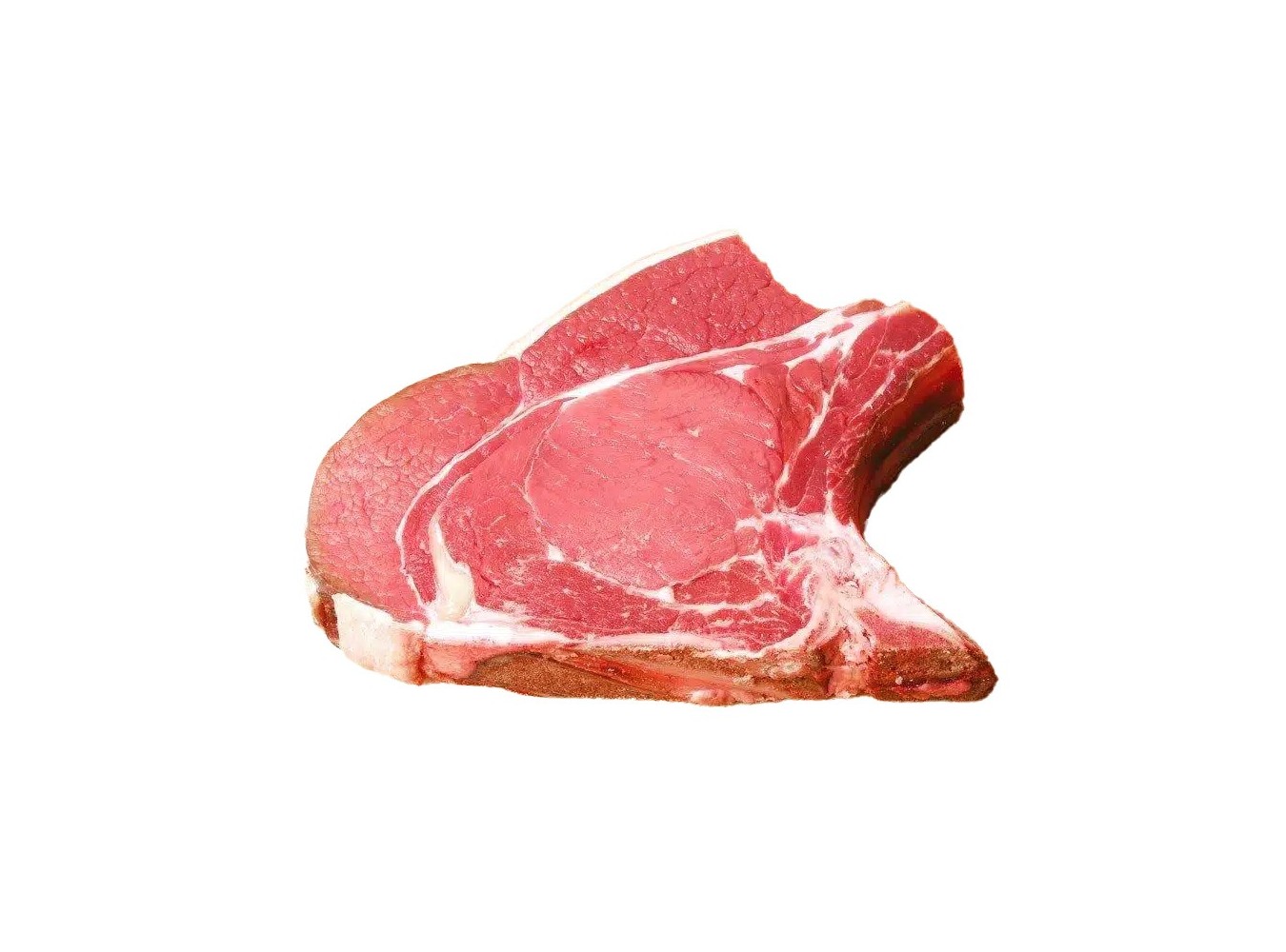 BOVINO COSTATA C/C S/COP SPAGNA GR450X10