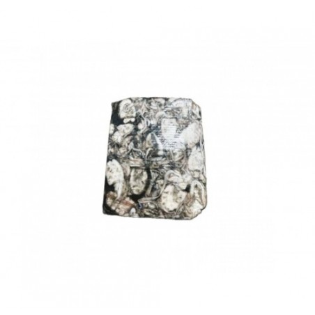 SEPPIE SPORCHE 50/100 BLOCCO 3P CT1X12KG