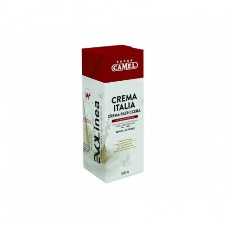DESSERT CREMA PASTICCERA UHT    KG.1X6