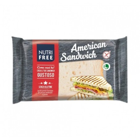 AMERICAN SANDWICH S/G NUTRIFREE GR240X10