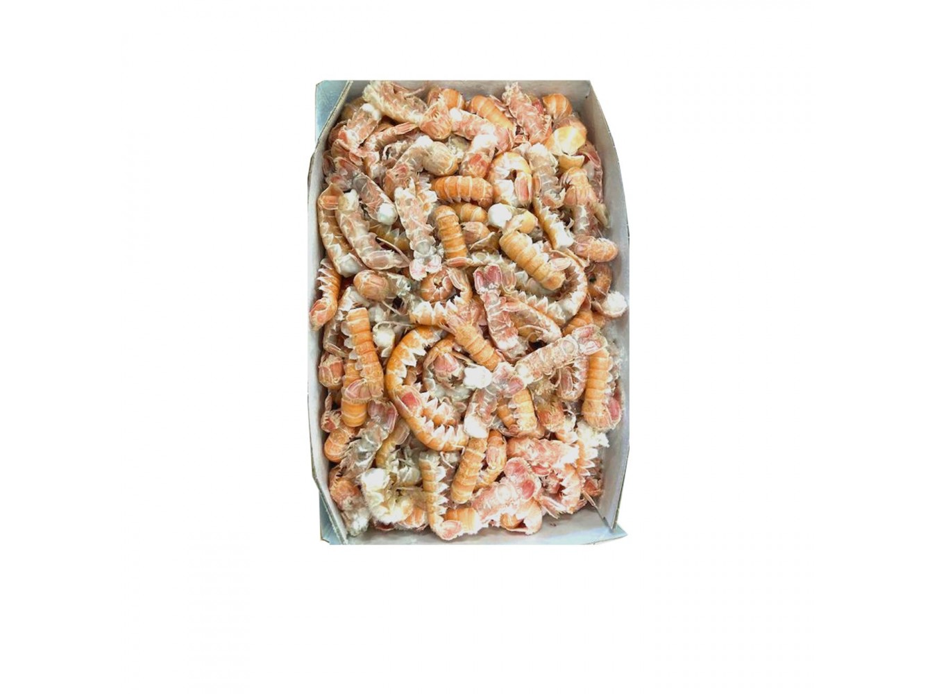 SCAMPI CODE BORDO 50/90 PZ/KG IRLPZ3X3KG