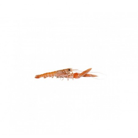 SCAMPI INTERI LABADIE 20/30 IRL.PZ3X3KG