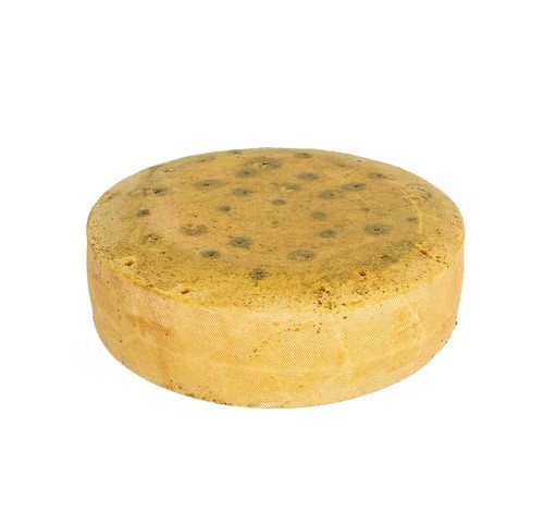 FORMAGGIO UBRIACO BIRRA DOGUSTO   KG.1,8