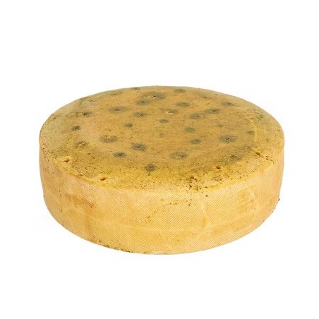 FORMAGGIO UBRIACO BIRRA DOGUSTO   KG.1,8