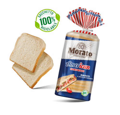 PANE MORATO AMERICAN SANDWICH   GR.550X9