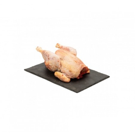 GALLINA BUSTO  SOPAS              KG.2X2