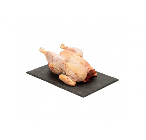 GALLINA BUSTO GELO                KG.3X4