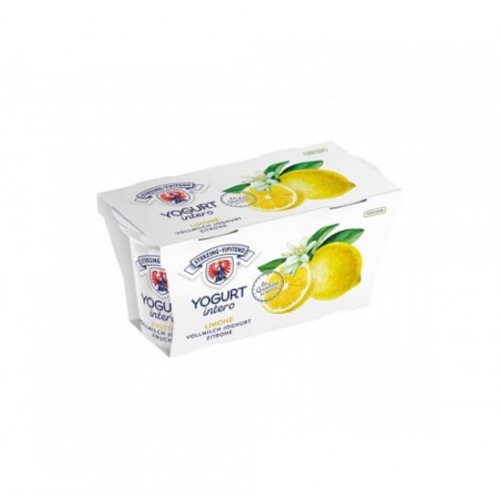 YOGURT LIMONE VIPITENO         GR.125X20