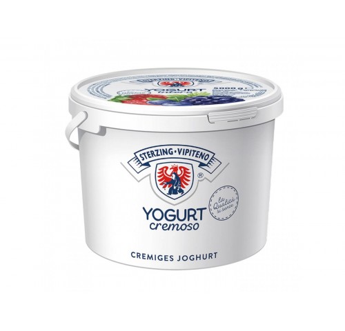 YOGURT FRUTTI BOSCO VIPITENO        KG.5