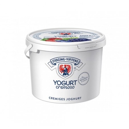 YOGURT FRUTTI BOSCO VIPITENO        KG.5