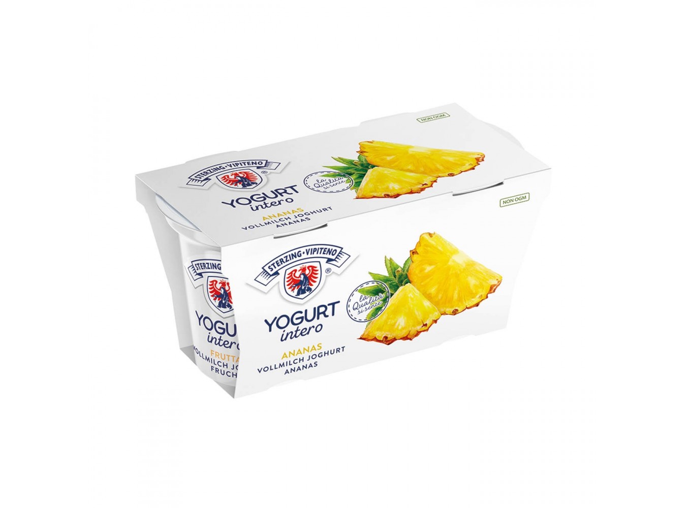 YOGURT  ANANAS VIPITENO        GR.125X20