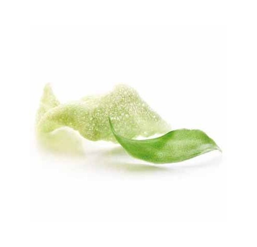 CRACKER SOFFIATI WASABI NR.48     ICEWER