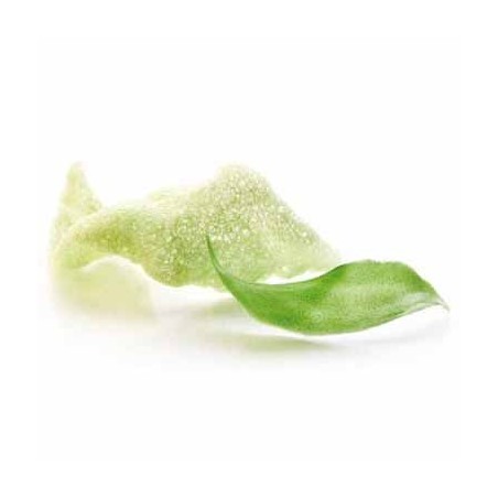 CRACKER SOFFIATI WASABI NR.48     ICEWER