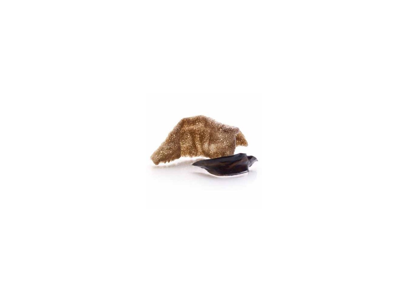 CRACKER SOFFIATI NERO SEPPIA N.48 ICEWER