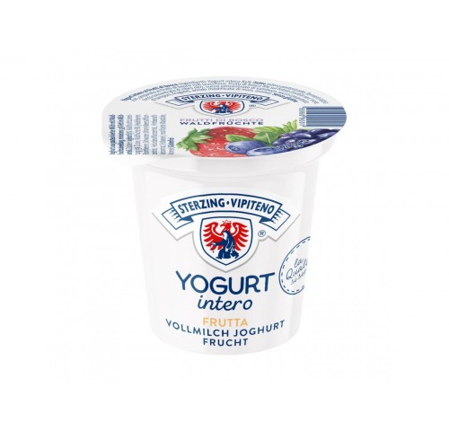 YOGURT FRUTTI DI BOSCO VIPITENO GR125X20