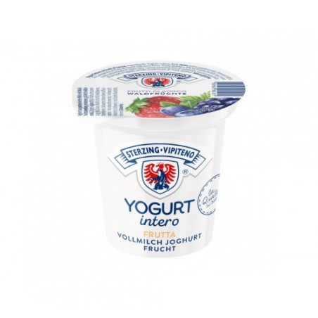 YOGURT FRUTTI DI BOSCO VIPITENO GR125X20