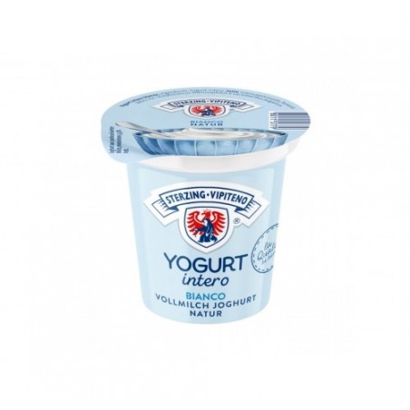 YOGURT NATURALE VIPITENO        GR125X20