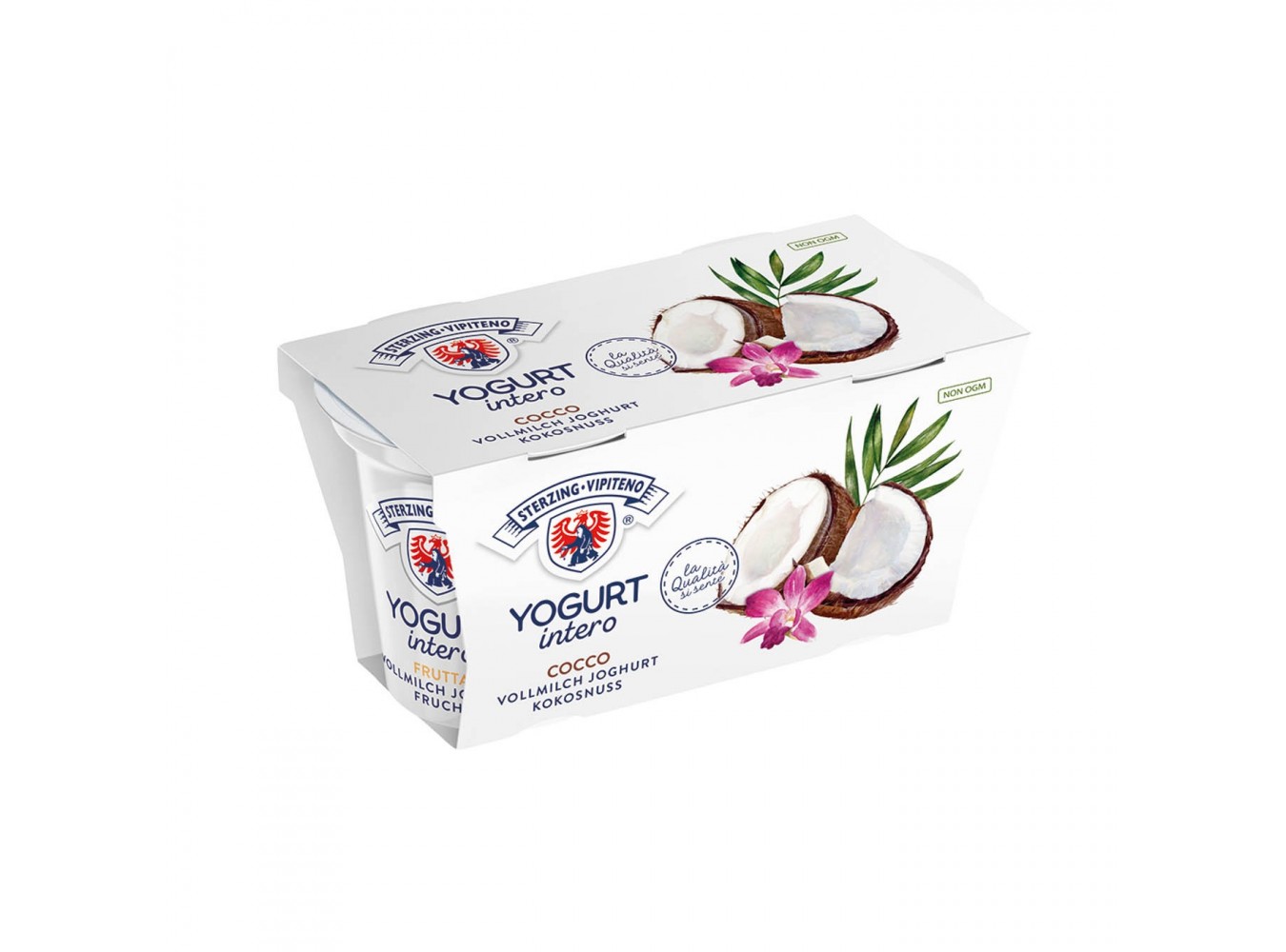 YOGURT COCCO VIPITENO          GR.125X20