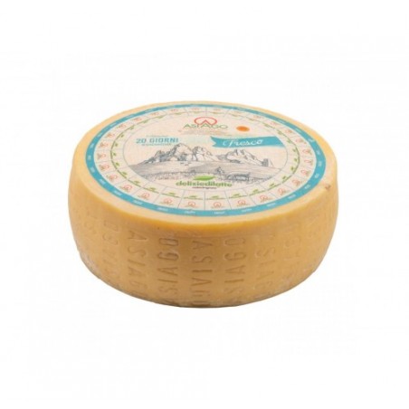 ASIAGO DELIZIE DI LATTE DOP        KG.14