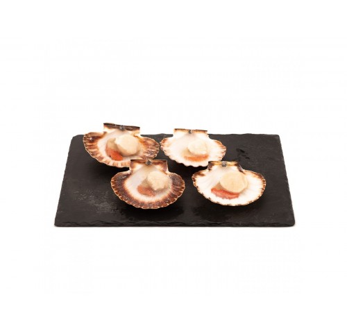 CAPPESANTE 1/2 GUSCIO 9/11 CT1X5KG