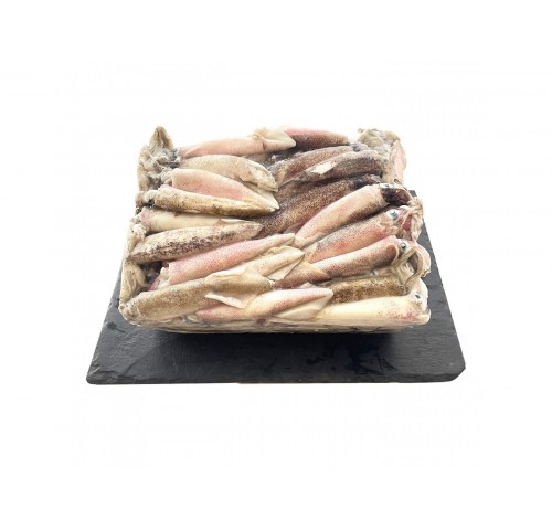 CALAMARI SPORCHI C4 INTERO PATAGO KG.5X1