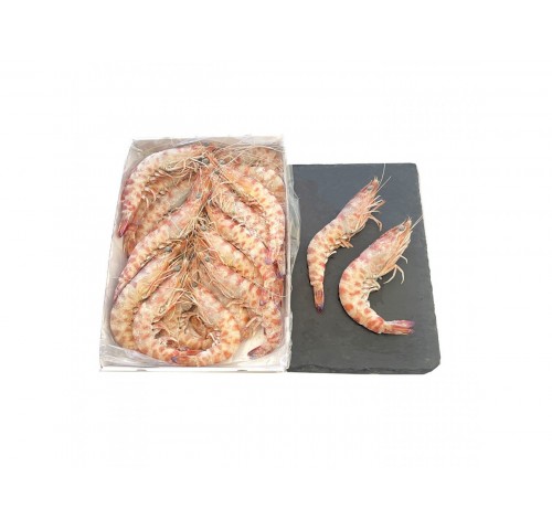 MAZZANCOLLE TIGRATE T2 20/30 P.P KG.1X12