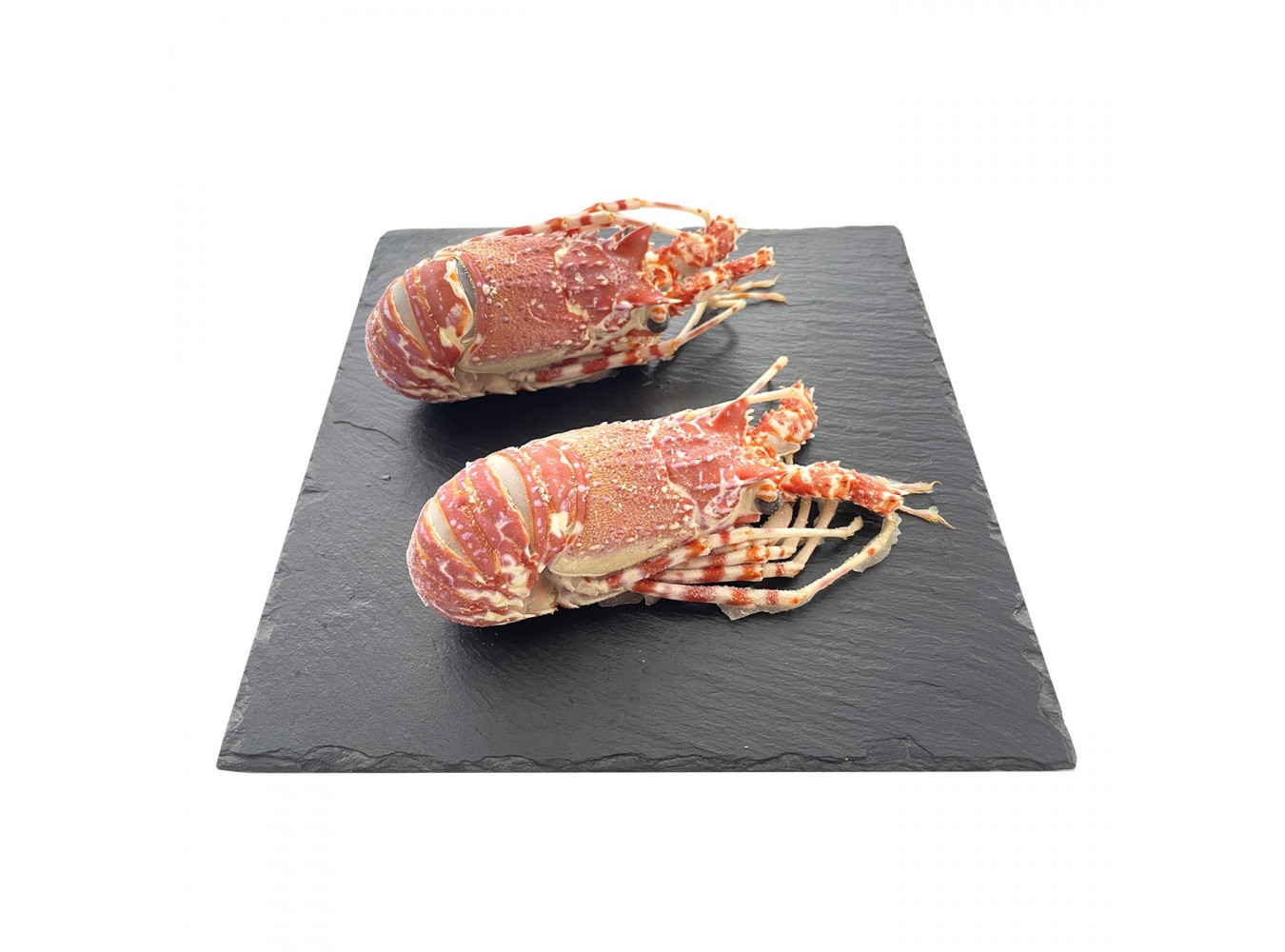 ARAGOSTA INDIOPACIFICA 150/300 PZ8X1.5KG