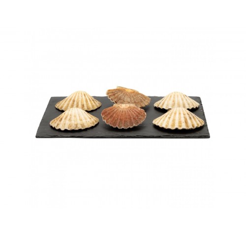 CAPPESANTE INTERE 5/7 IQF C/C   PZ1X10KG