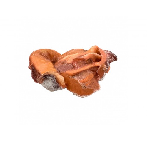 POLIPI TESTE COTTE IQF         CT1X7KG