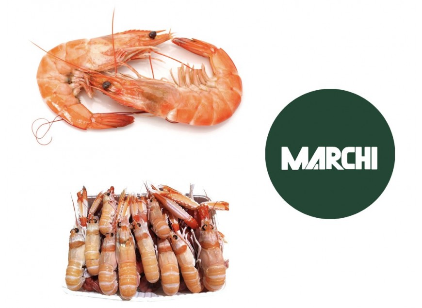 Gamberi e scampi: le nostre offerte ittiche di Maggio