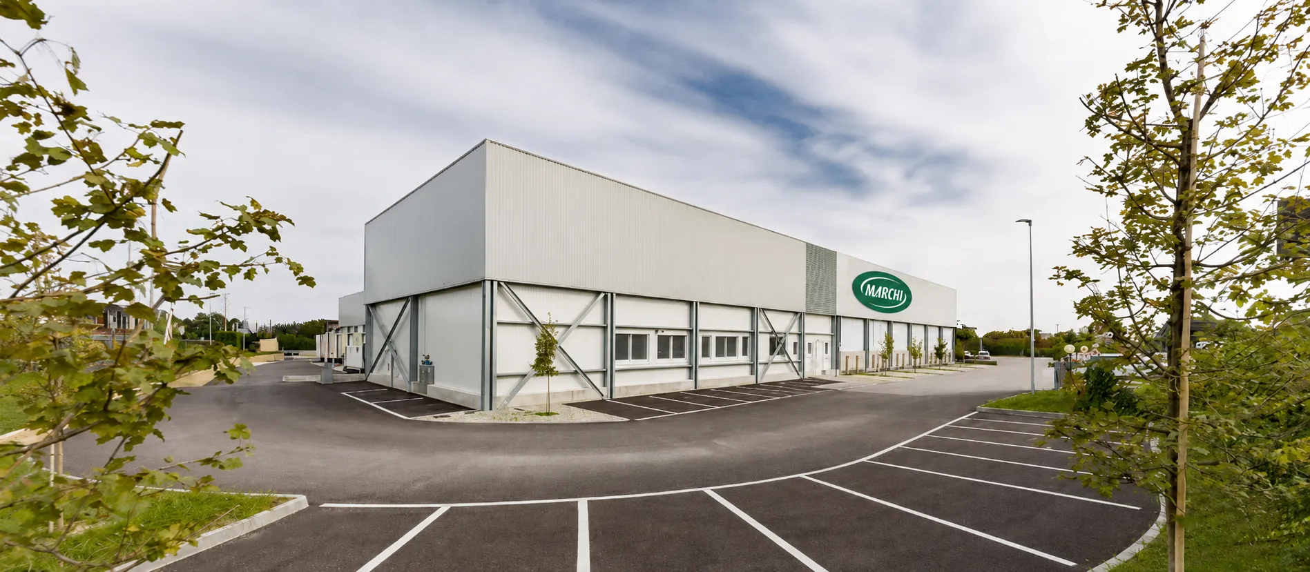 Azienda